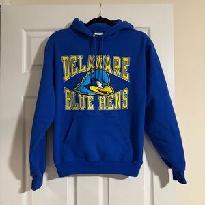 Delaware Blue Hens Champion Eco Fleece Hoodie Size Small